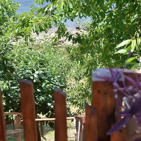 Negde Na Drini 3 Bajina Basta